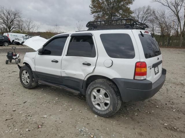 2004 Ford Escape XLT