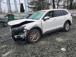 Salvage cars for sale at Windsor, NJ auction: 2024 Honda CR-V EX