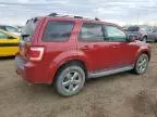 2010 Ford Escape Limited