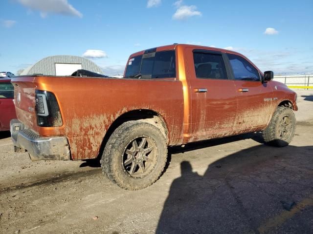 2010 Dodge RAM 1500