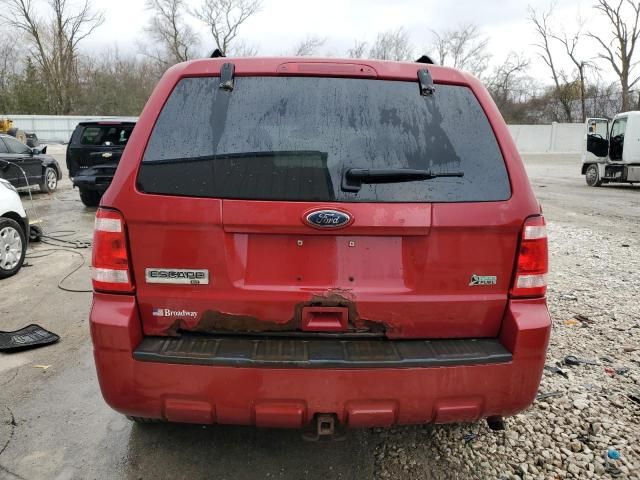 2011 Ford Escape XLT