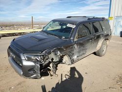 Salvage cars for sale at Albuquerque, NM auction: 2019 Toyota 4runner SR5