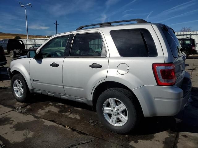 2009 Ford Escape Hybrid