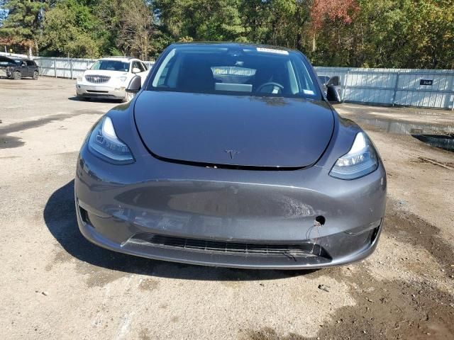 2020 Tesla Model Y