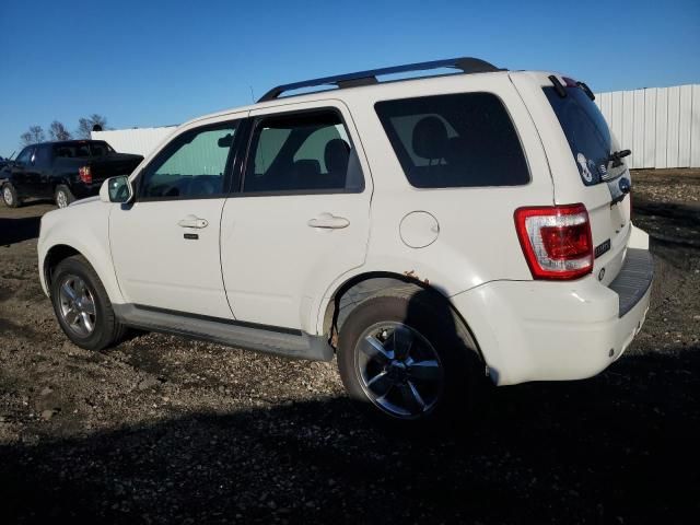 2011 Ford Escape Limited