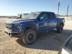 2019 Ford F150 Raptor