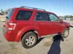 2009 Ford Escape Limited