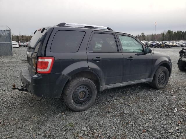 2011 Ford Escape Limited