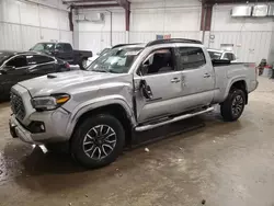 Salvage cars for sale at Franklin, WI auction: 2023 Toyota Tacoma Double Cab