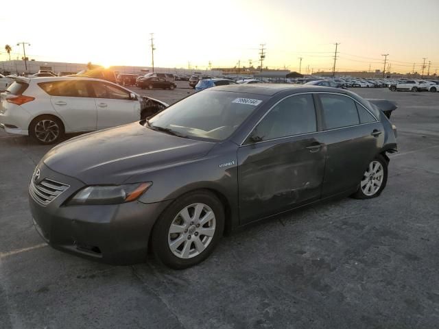 2009 Toyota Camry Hybrid