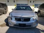 2008 Honda Accord EX