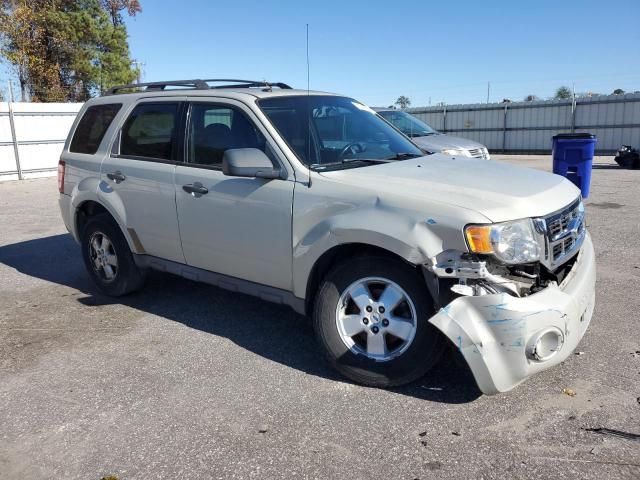 2009 Ford Escape XLT