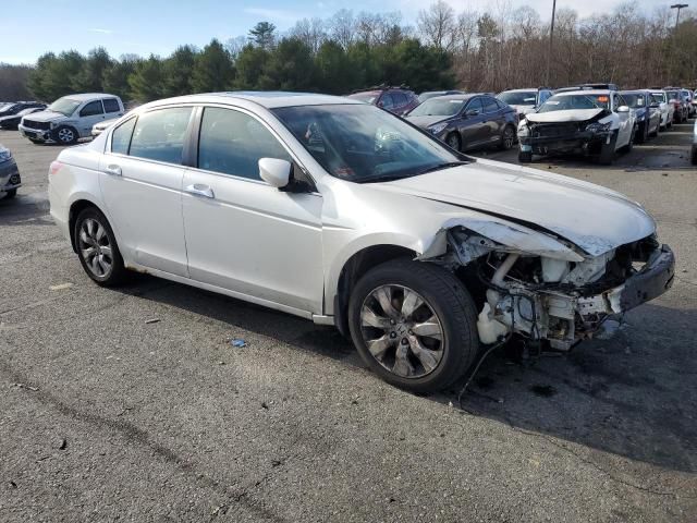 2008 Honda Accord EXL