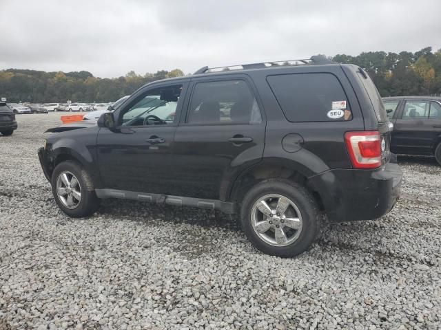 2011 Ford Escape Limited