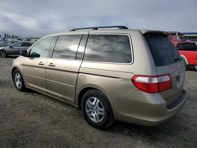 2005 Honda Odyssey EXL