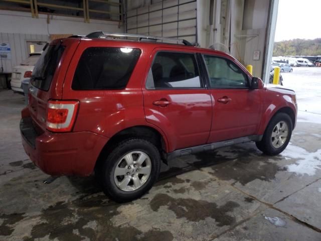 2011 Ford Escape Limited