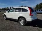 2007 Honda CR-V EX