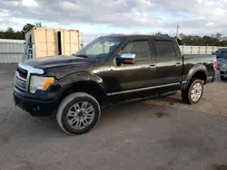 Ford f150 Supercrew Vehiculos salvage en venta: 2010 Ford F150 Supercrew