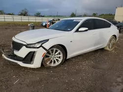 Cadillac ct5 Vehiculos salvage en venta: 2022 Cadillac CT5 Luxury