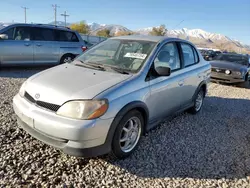 Toyota Echo salvage cars for sale: 2000 Toyota Echo