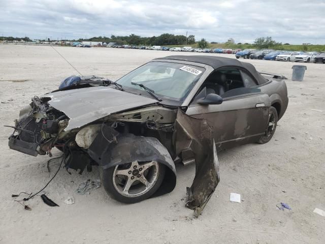 2001 Ford Mustang Cobra SVT