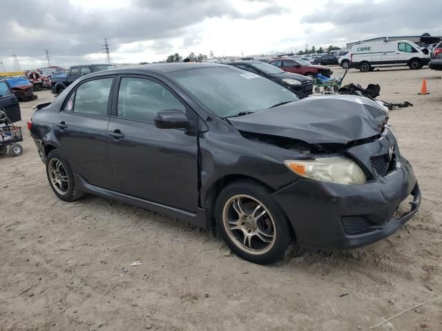 2009 Toyota Corolla Base