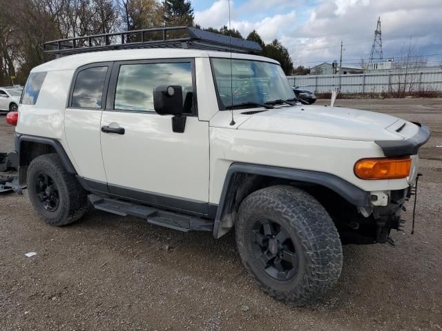 2008 Toyota FJ Cruiser