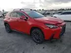 2024 Lexus NX 250 Base