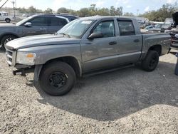 Dodge salvage cars for sale: 2010 Dodge Dakota ST