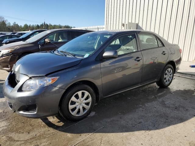 2010 Toyota Corolla Base