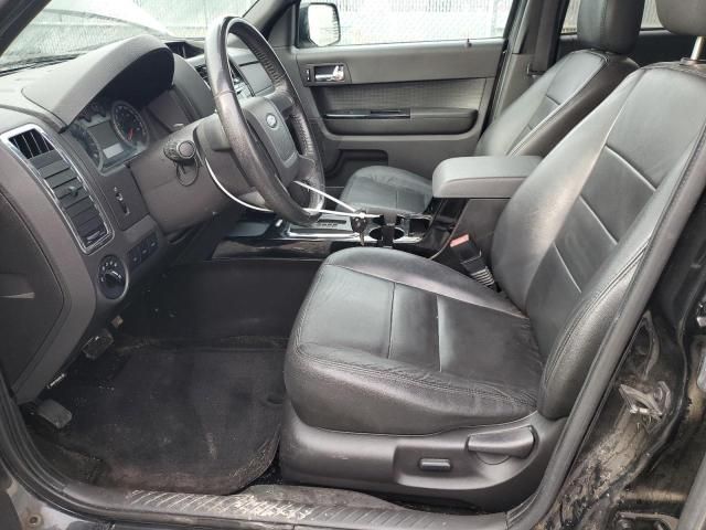 2011 Ford Escape Limited