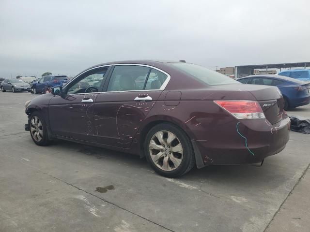 2010 Honda Accord EXL