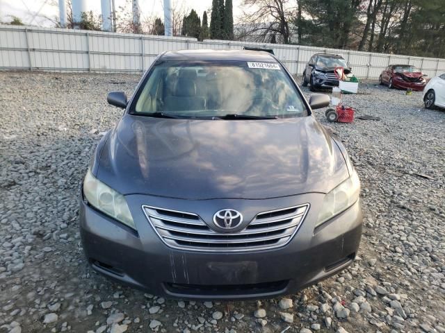 2009 Toyota Camry Hybrid