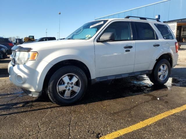 2010 Ford Escape XLT