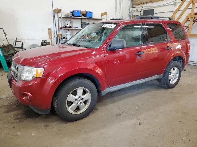 2009 Ford Escape XLT