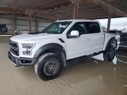 2019 Ford F150 Raptor en venta en Houston, TX