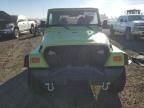 2000 Jeep Wrangler / TJ SE