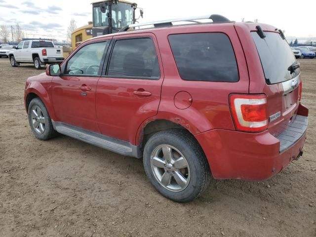 2010 Ford Escape Limited