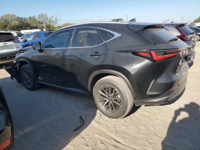 2025 Lexus NX 250 Premium