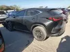 2025 Lexus NX 250 Premium