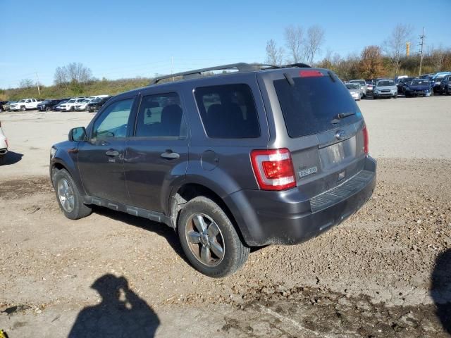 2011 Ford Escape XLT