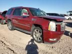 2008 Cadillac Escalade Luxury