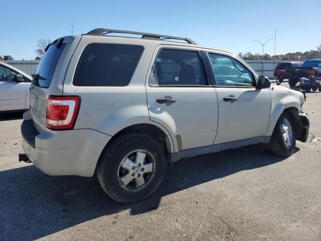 2009 Ford Escape XLT