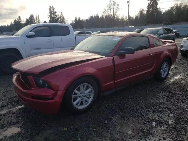 2005 Ford Mustang