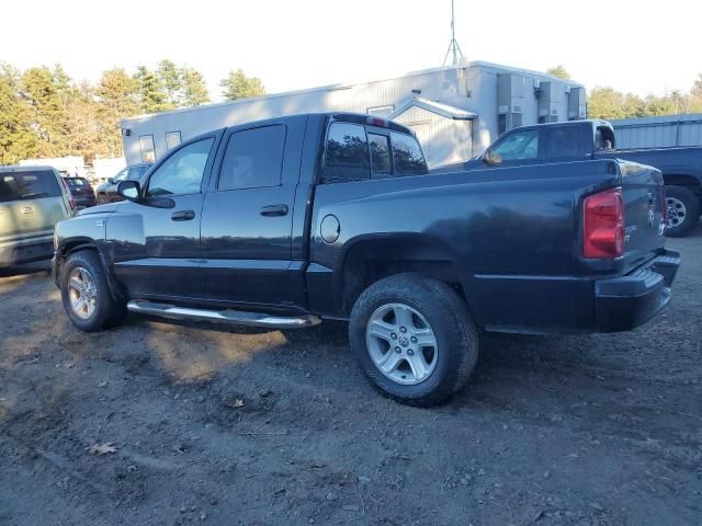 2011 Dodge Dakota SLT