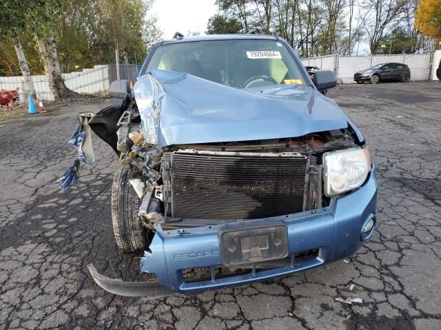 2009 Ford Escape XLT