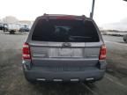 2008 Ford Escape HEV