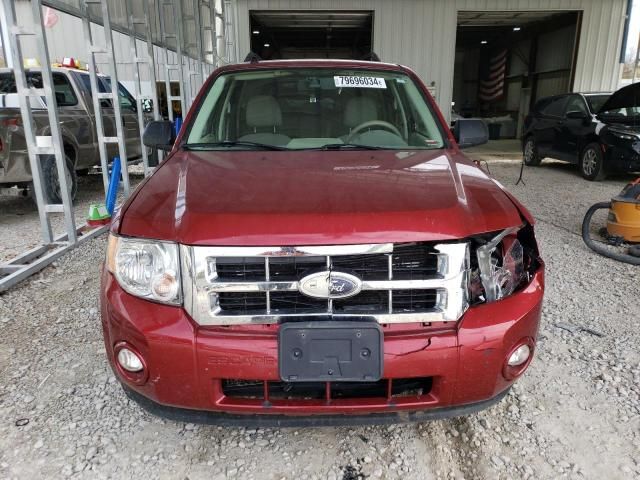 2008 Ford Escape XLT