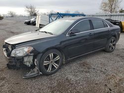 Salvage cars for sale from Copart London, ON: 2009 Chevrolet Malibu 1LT