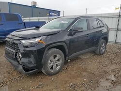 Toyota rav4 xle Vehiculos salvage en venta: 2024 Toyota Rav4 XLE